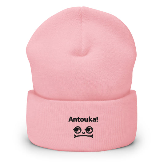 Antouka! Cuffed Beanie